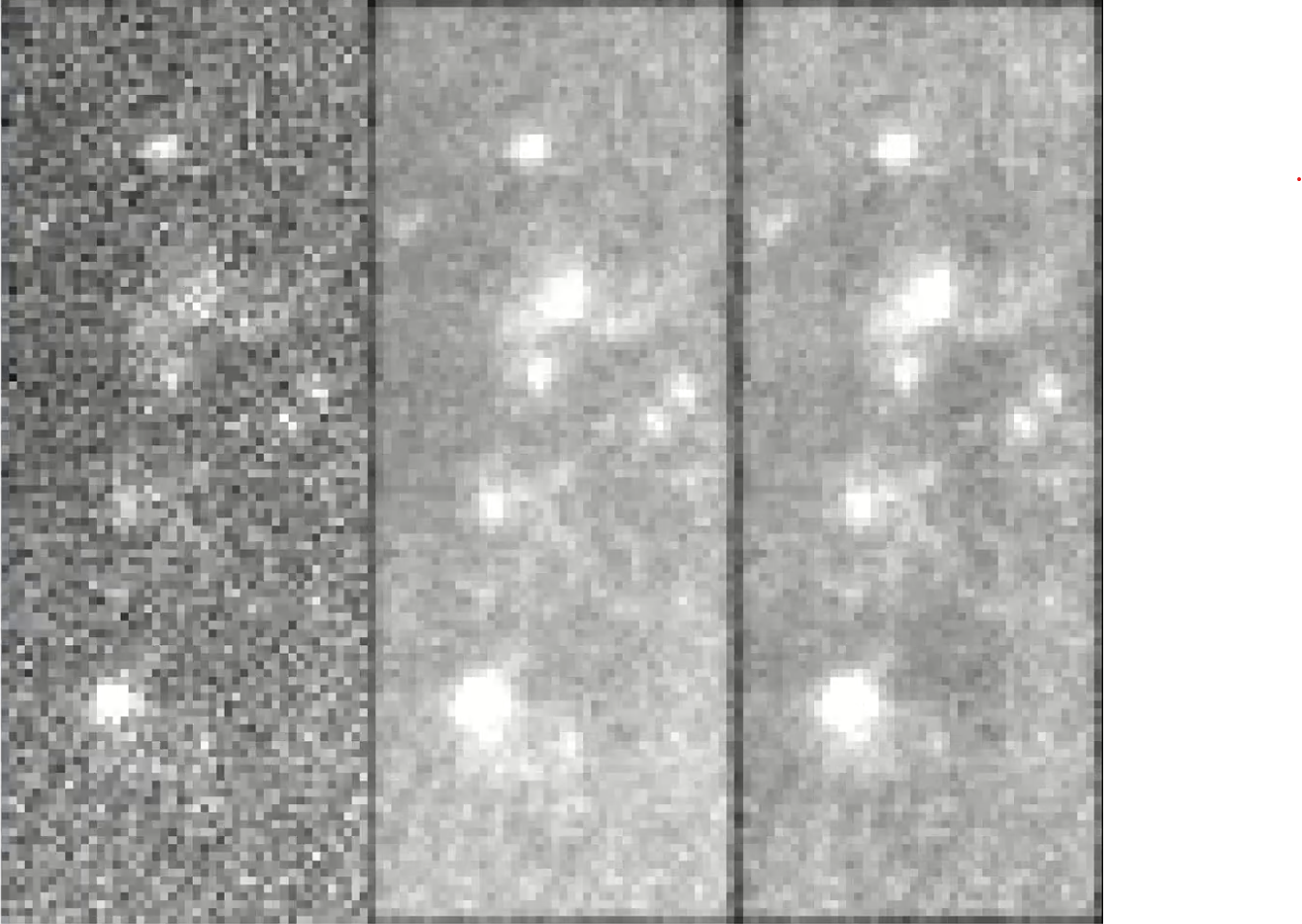 Frame from a zebrafish voltage imaging video.