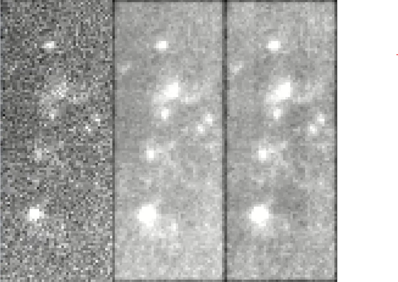 Frame from a zebrafish voltage imaging video.