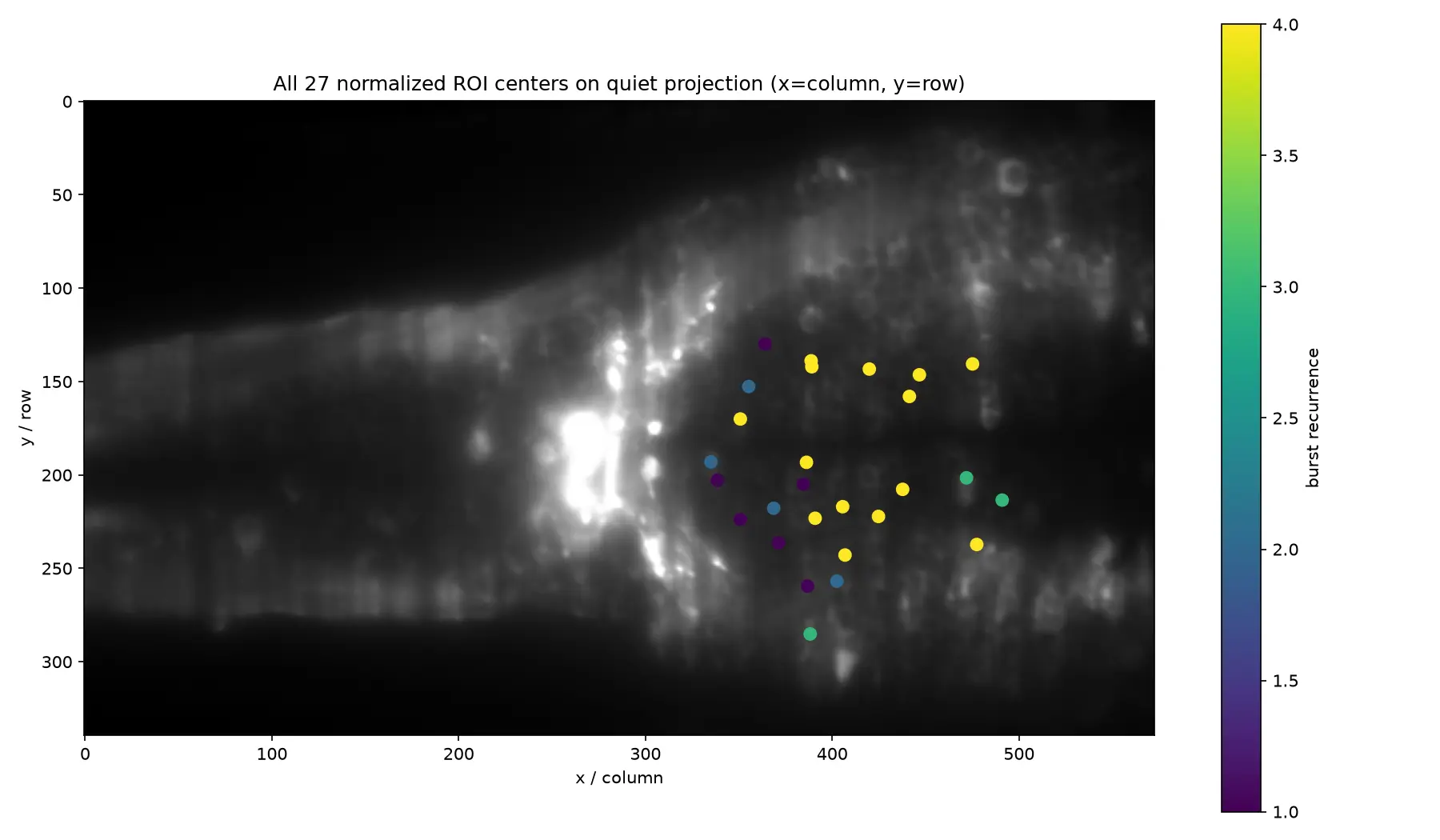 Zebrafish calcium-imaging field with the current annotated regions projected over the recording.