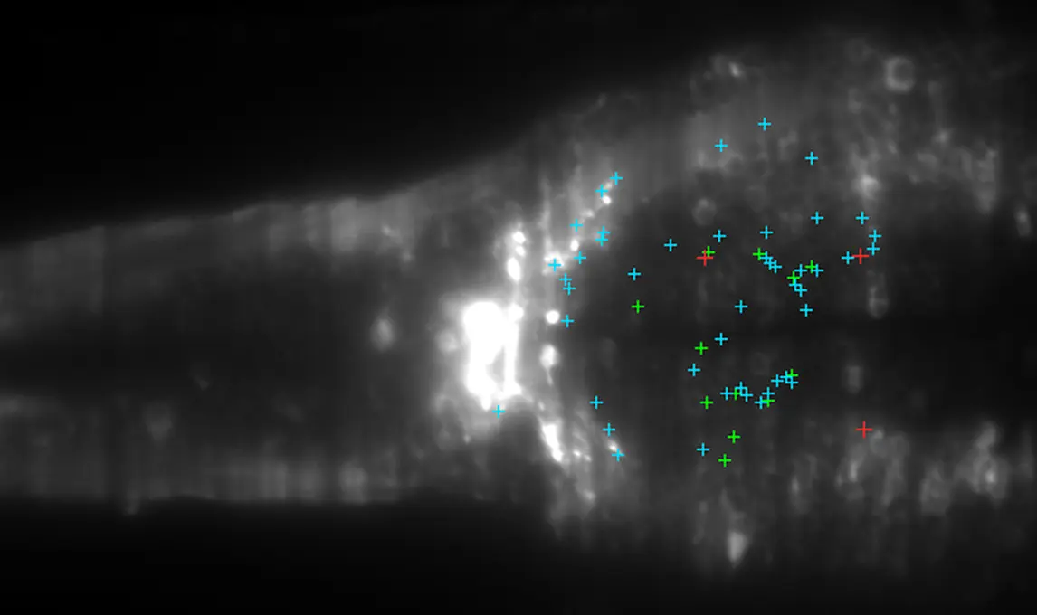 Ranked candidate overlay from the nested linear model on the first held-out burst.